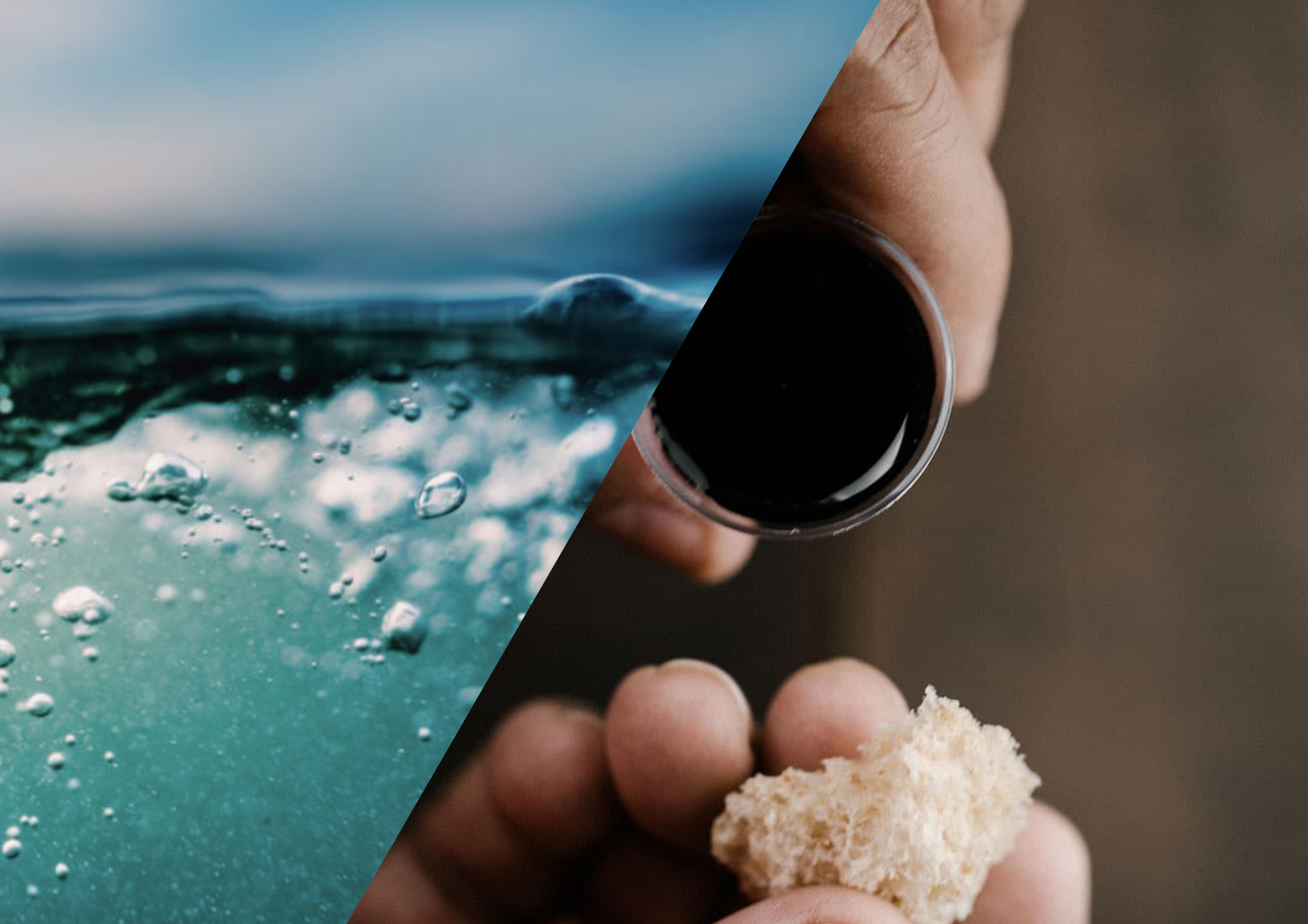 Welcome to the Family